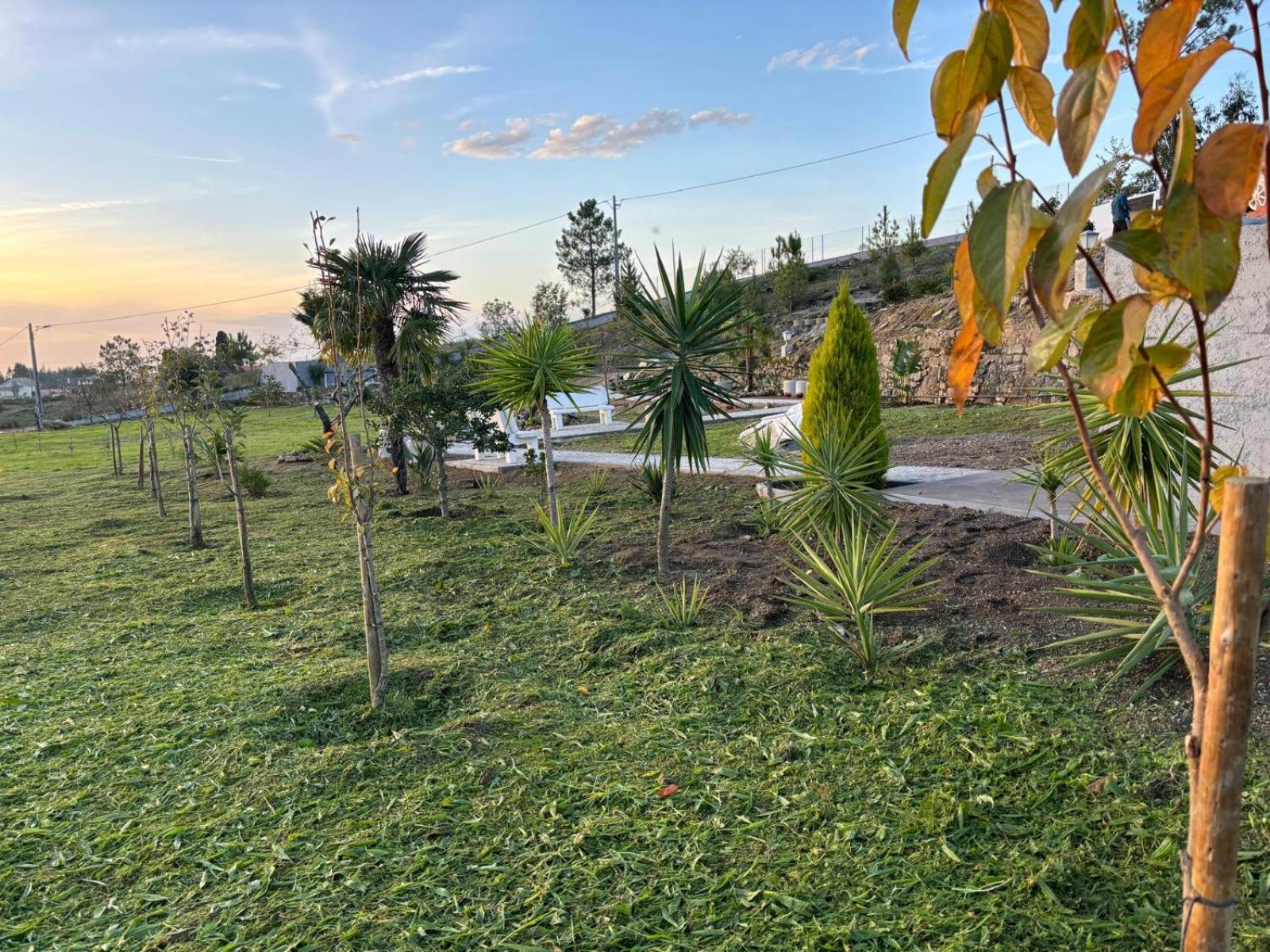 Quinta Santo Antonio Villa Gouveia  Buitenkant foto