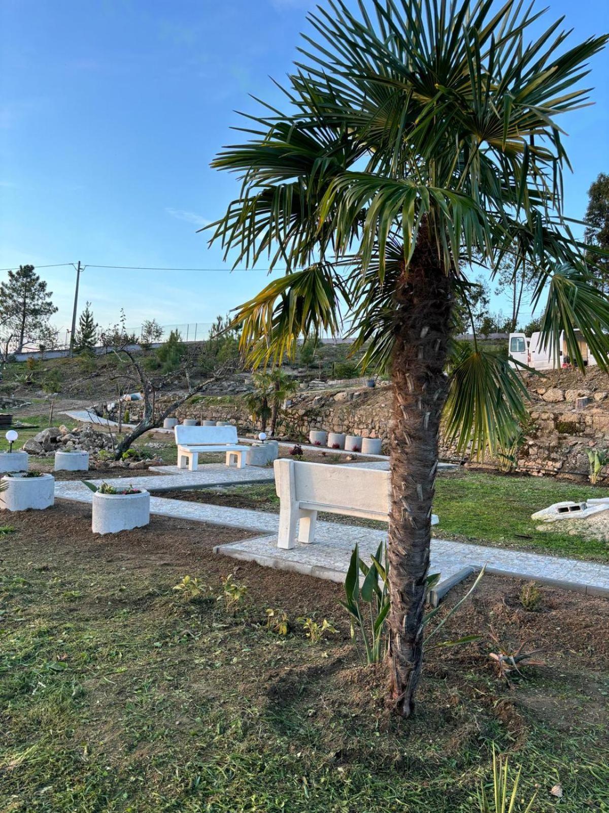 Quinta Santo Antonio Villa Gouveia  Buitenkant foto
