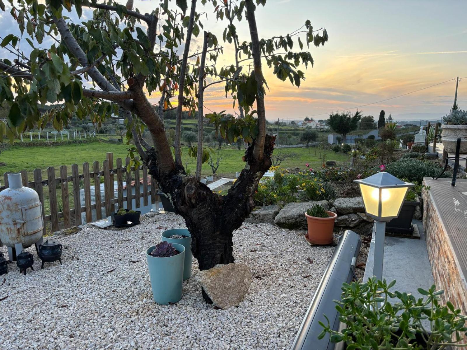 Quinta Santo Antonio Villa Gouveia  Buitenkant foto
