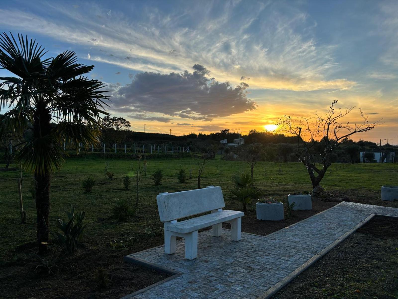 Quinta Santo Antonio Villa Gouveia  Buitenkant foto