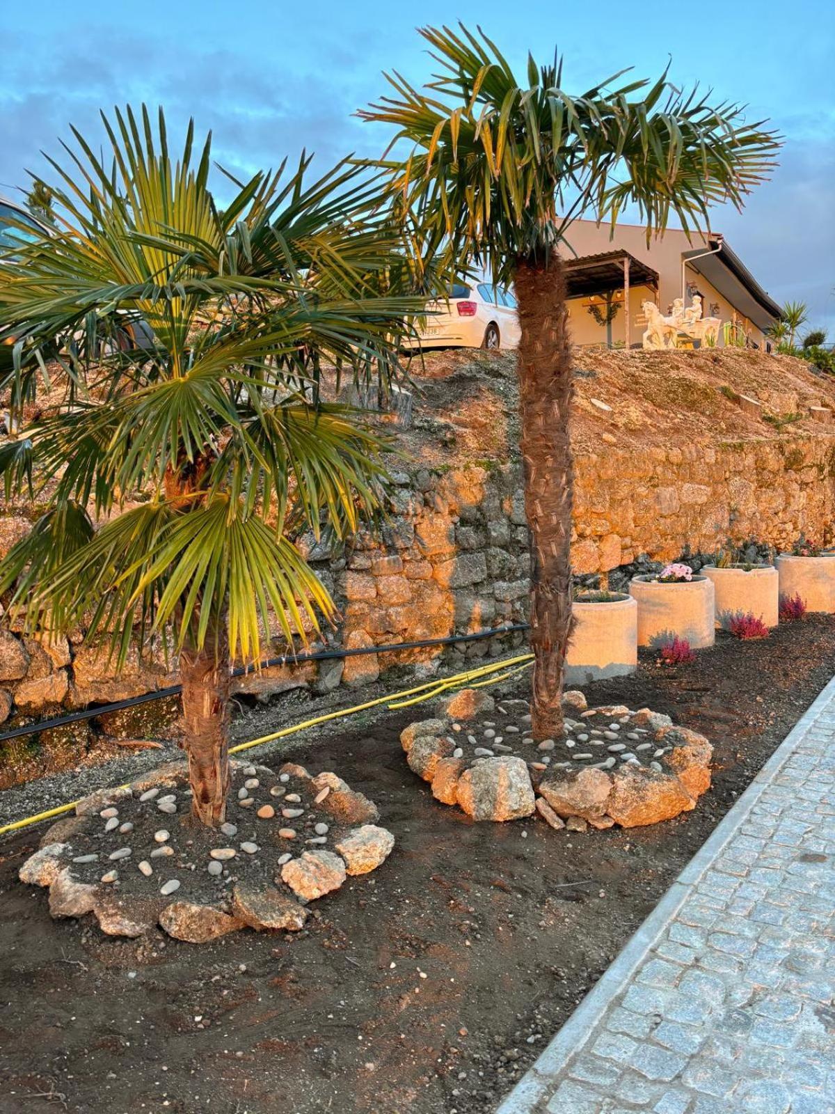 Quinta Santo Antonio Villa Gouveia  Buitenkant foto