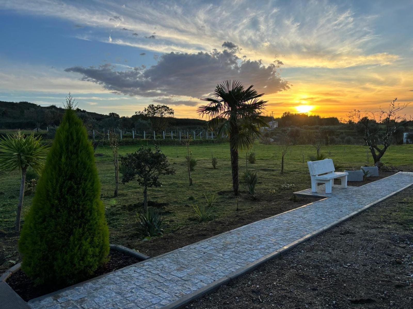 Quinta Santo Antonio Villa Gouveia  Buitenkant foto