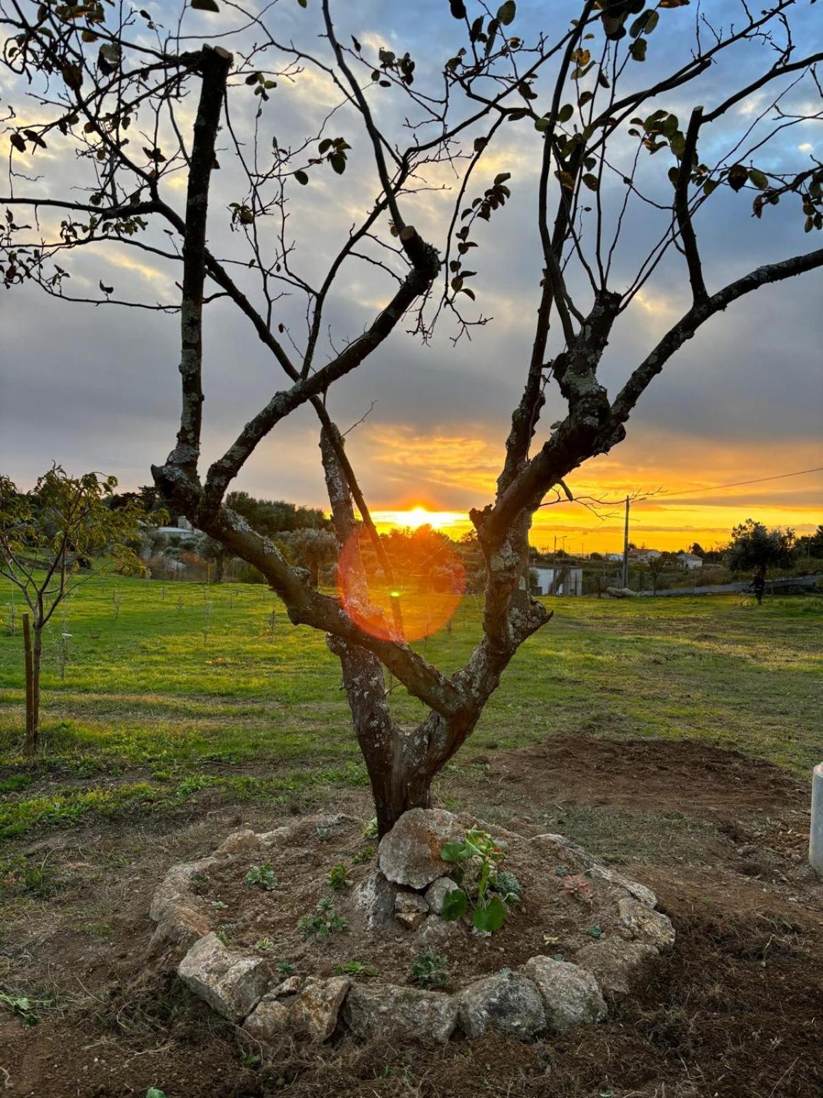Quinta Santo Antonio Villa Gouveia  Buitenkant foto